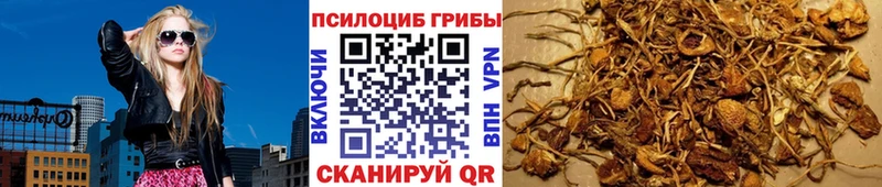 МЕГА ONION  купить наркоту  Рузаевка  Псилоцибиновые грибы GOLDEN TEACHER 