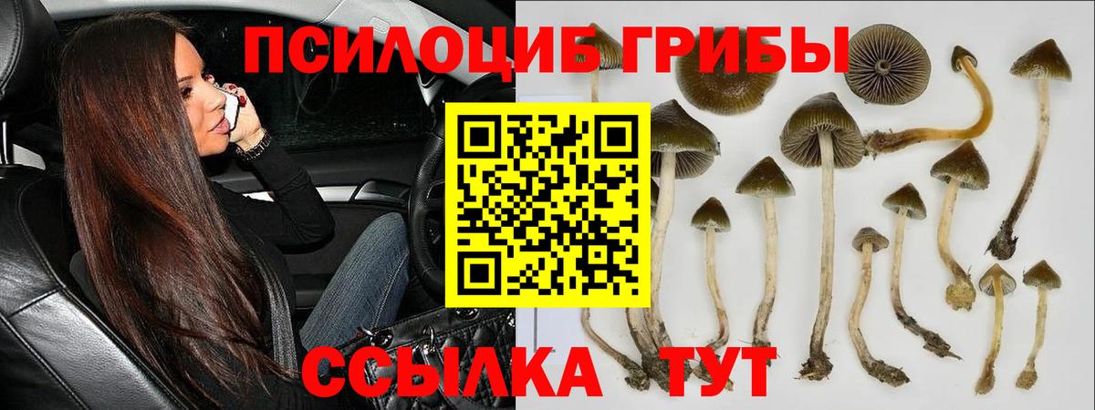 Псилоцибиновые грибы мухоморы Рузаевка